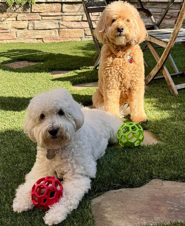 HOLEE ROLLER BALL! 5 INCH, FOR PUPS OR ADULTS!