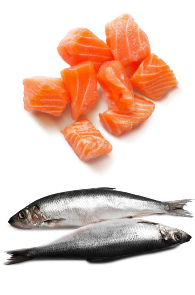 SABRINI'S SALMON & HERRING SNACKS!! BRAND NEW!!