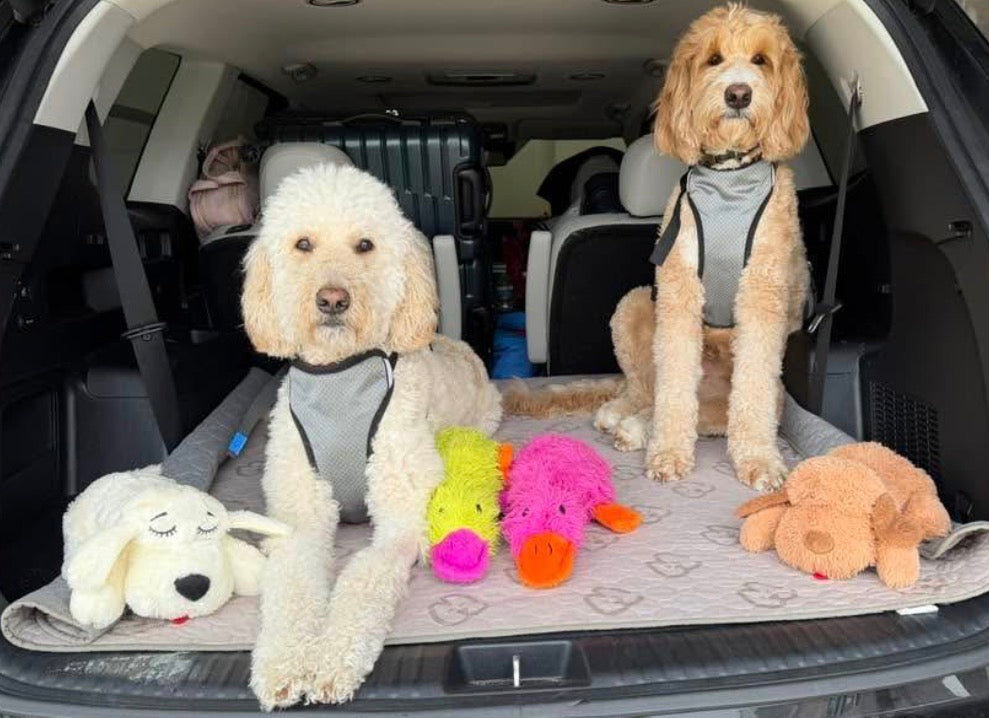 Golden Snuggle Puppy with Heartbeat