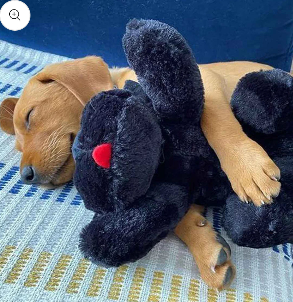 Golden Snuggle Puppy with Heartbeat