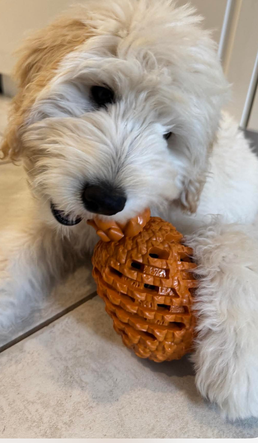 Pineapple Puppy/Dog Chew Toy - Slow Feeder Perfect for Aggressive Chewers & Large Breeds!