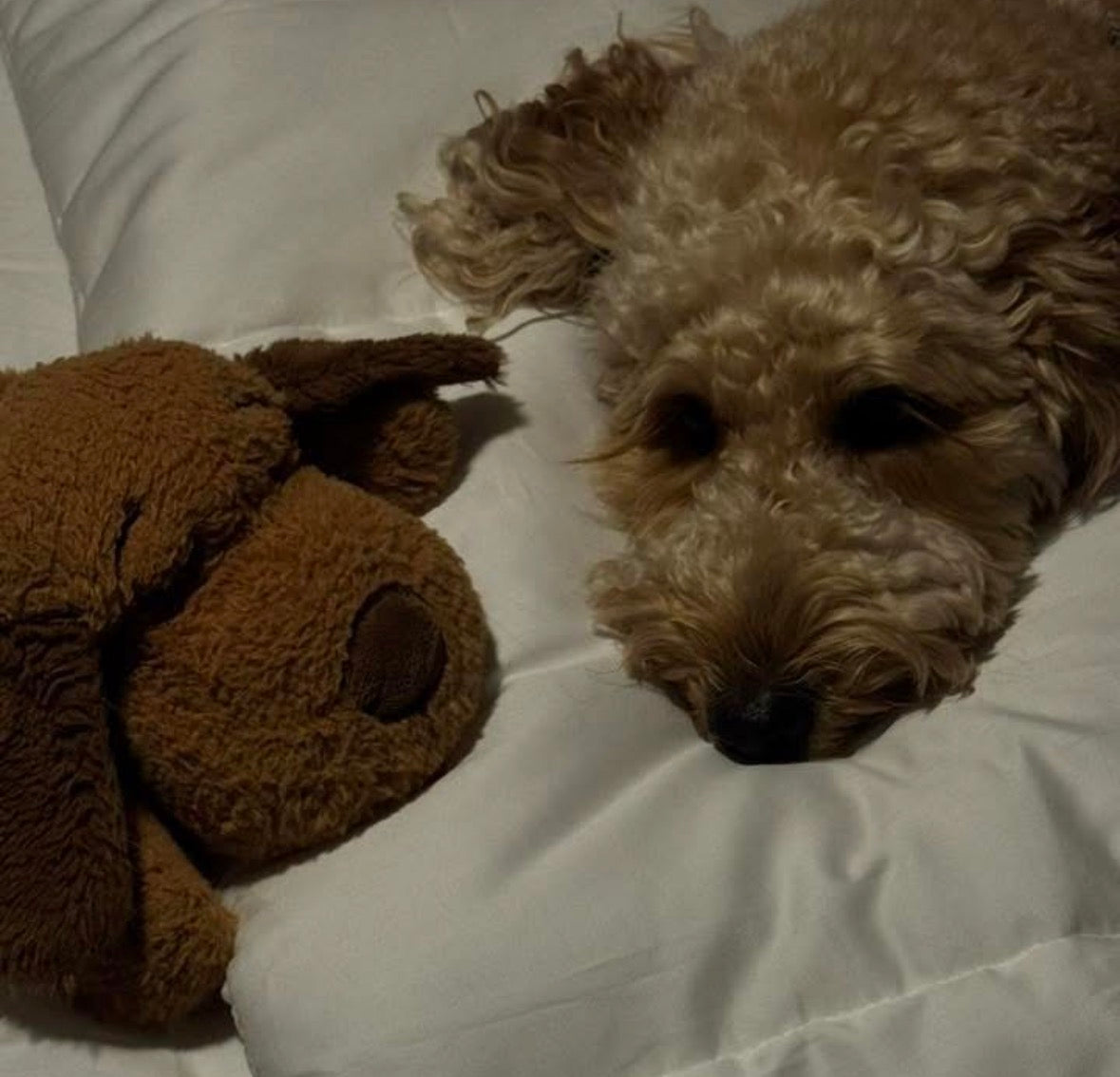 ORIGINAL SNUGGLE PUPPY with Heartbeat
