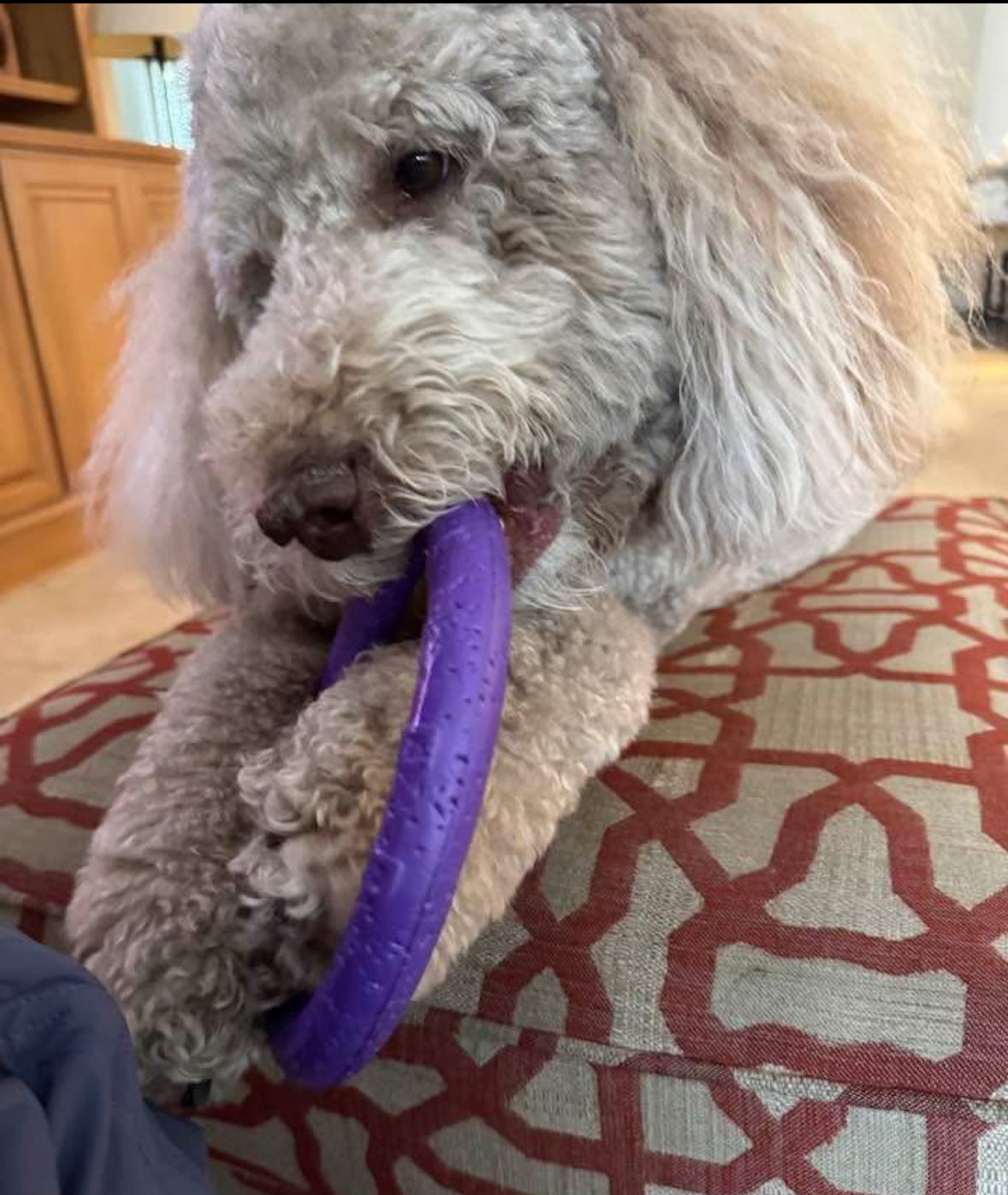 THE PULLER - IT'S FOR FETCHING!!