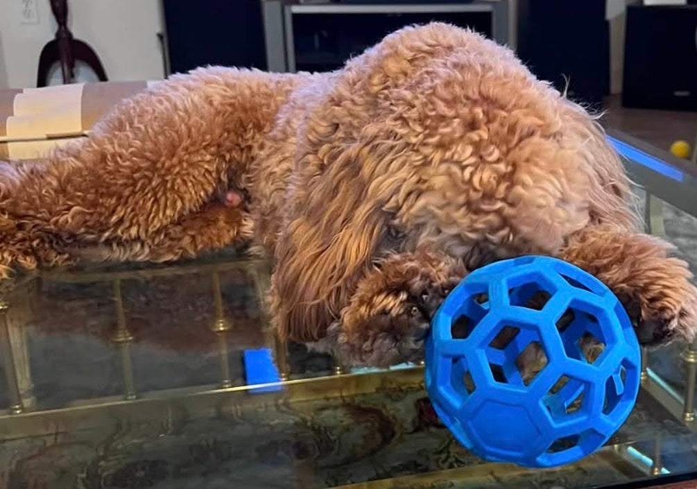 HOLEE ROLLER BALL! 5 INCH, FOR PUPS OR ADULTS!