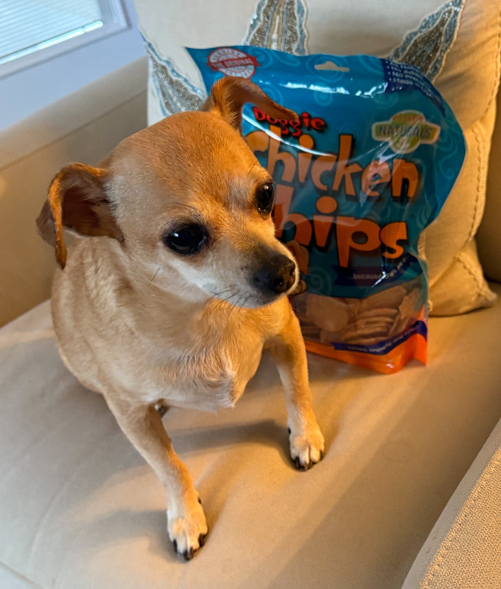 CHICKEN CHIPS! Made in Florida, All Natural! Dog Treats, Puppy Training Treats! Doggie Crack!!