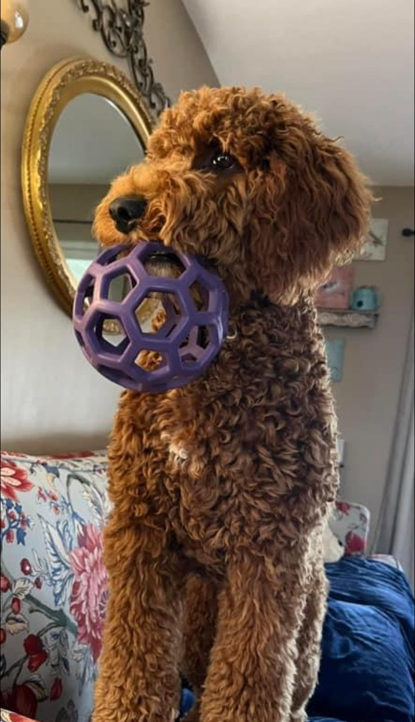 HOLEE ROLLER BALL! 5 INCH, FOR PUPS OR ADULTS!