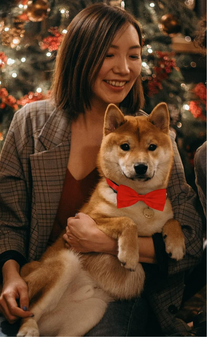 Dog Bow Tie Red Satin - Adjustable Collar for Medium and Large Dogs