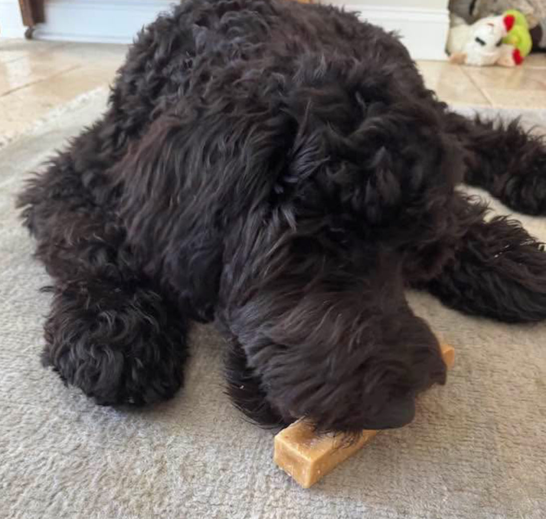 XL Yak Cheese Bars - Dog Chews