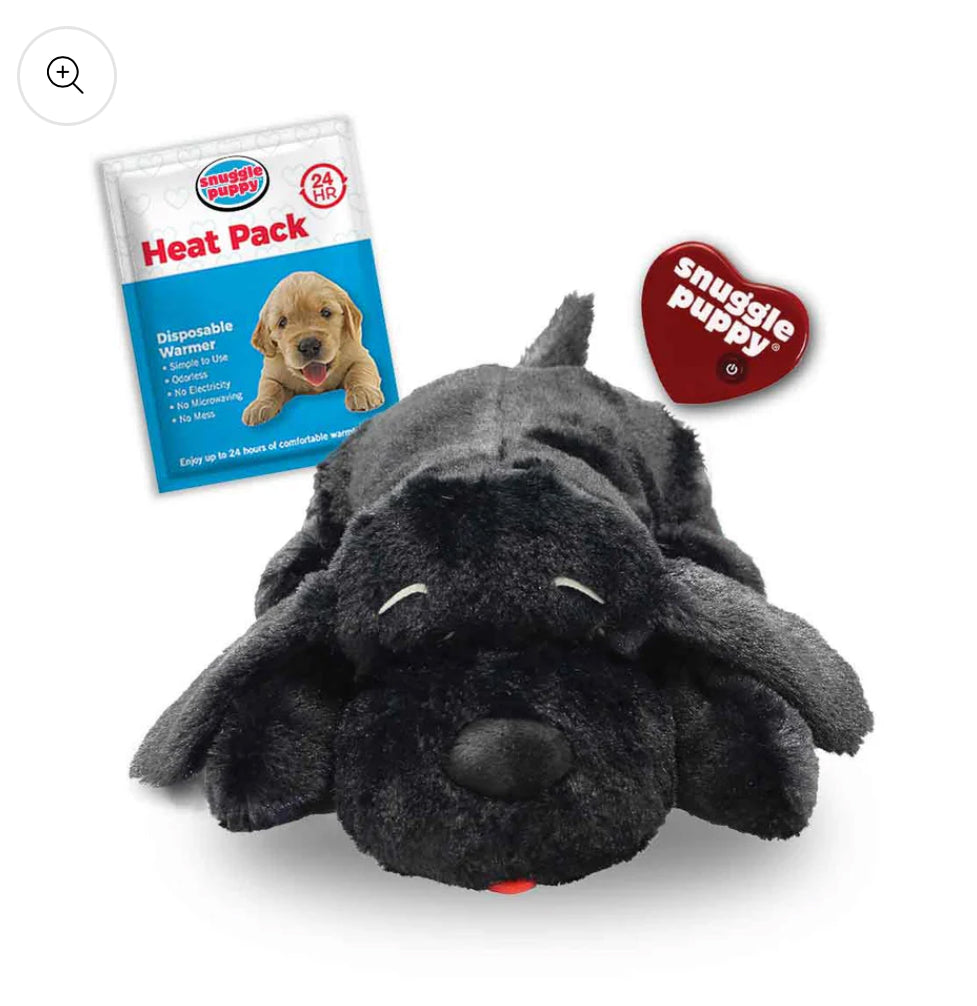 CHOMP’S Large Puppy Kit - 30 Items!
