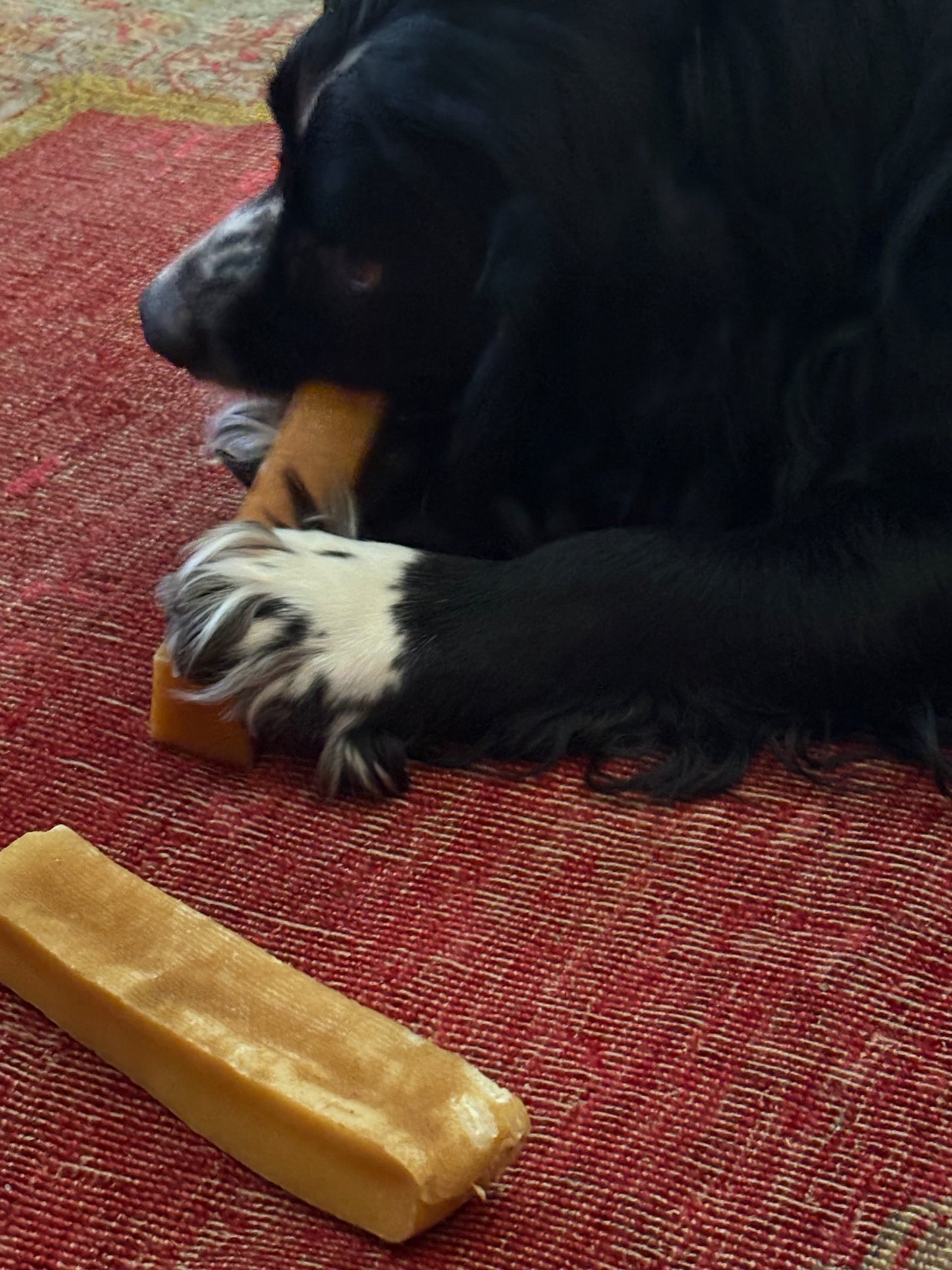XL Yak Cheese Bars - Dog Chews