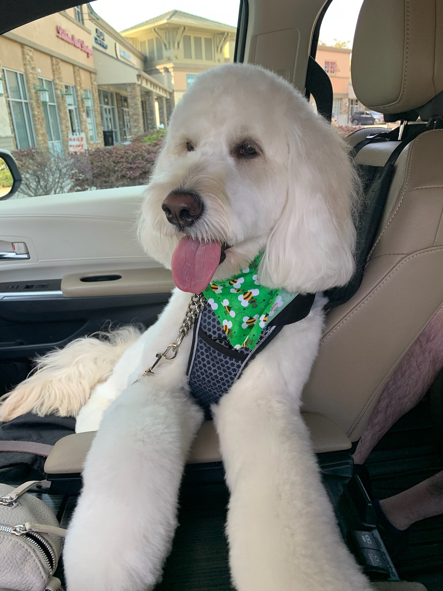 CARSAFE Crash Tested - Dog Car Harness