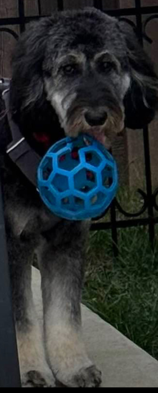 HOLEE ROLLER BALL! 5 INCH, FOR PUPS OR ADULTS!
