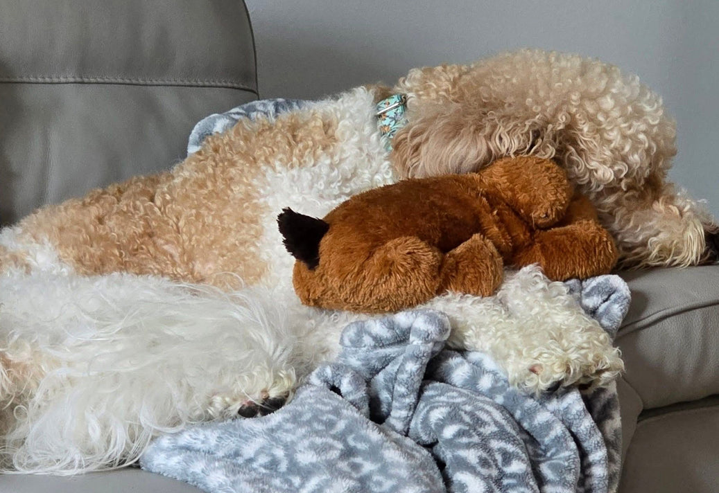 Golden Snuggle Puppy with Heartbeat