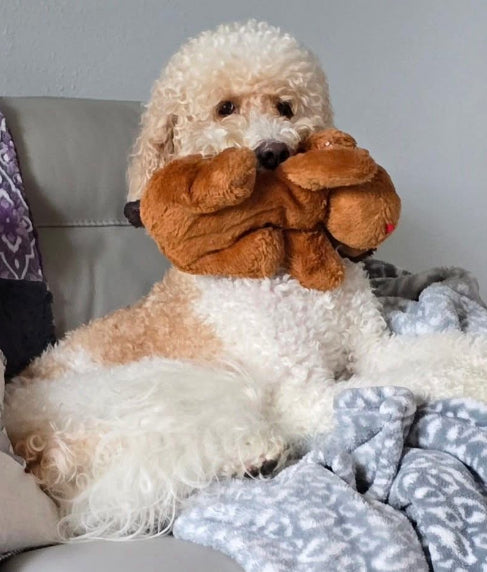 Golden Snuggle Puppy with Heartbeat