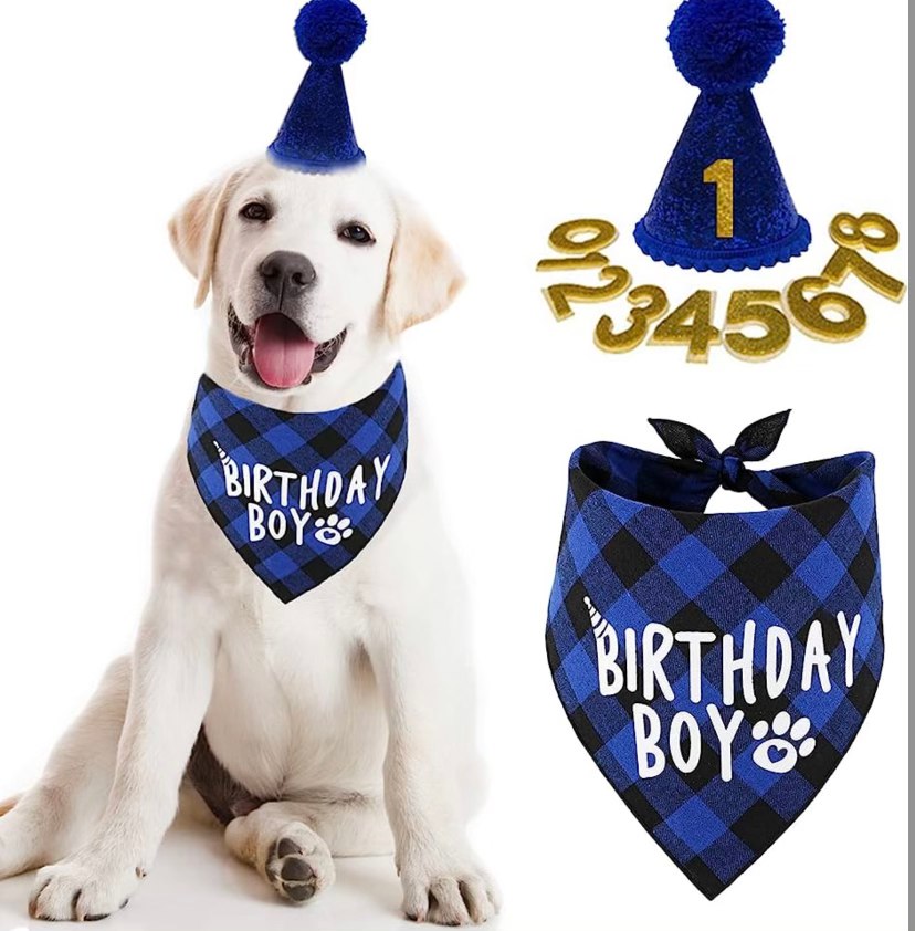 Happy Birthday Party Set - BOY - Bandanna, Hat & Numbers!