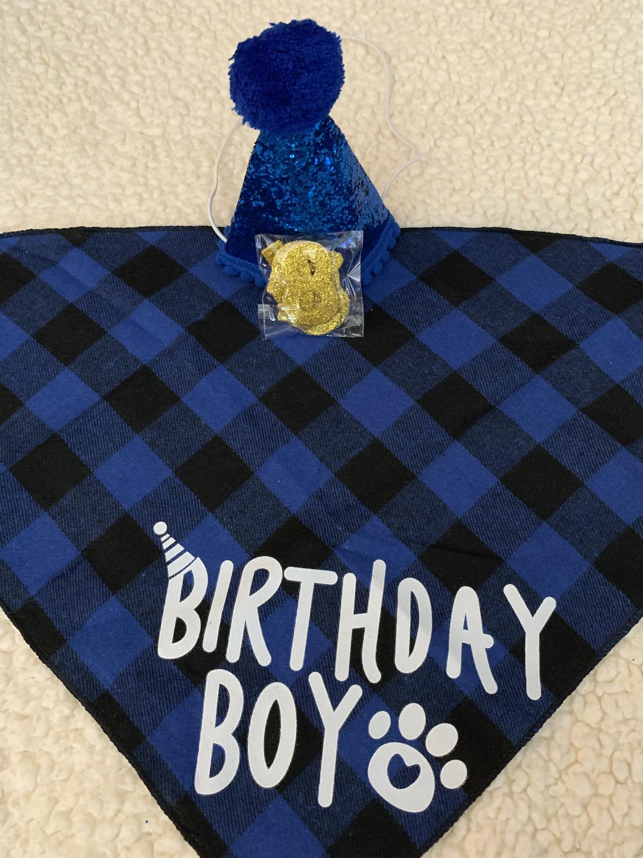 Happy Birthday Party Set - BOY - Bandanna, Hat & Numbers!