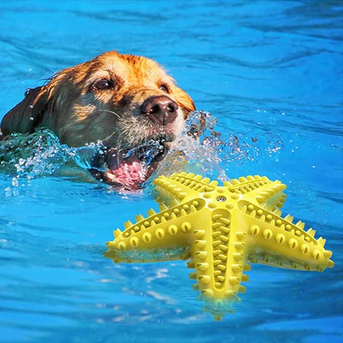 Blue Starfish - Dog / Puppy Chew Toy - Tough, Durable, Squeaky, Interactive Toy!