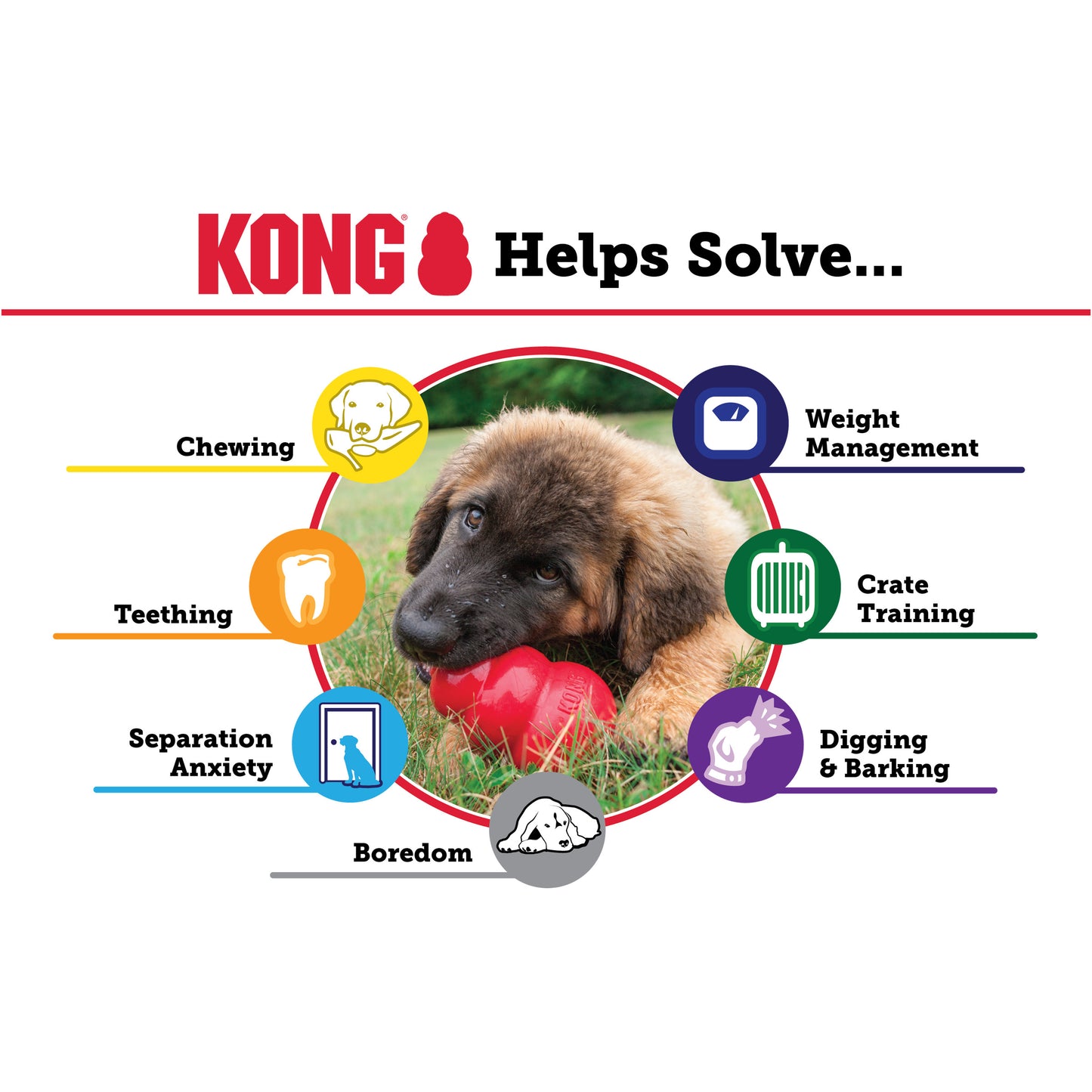 Dog Kong - CLASSIC ORIGINAL - LARGE!!!