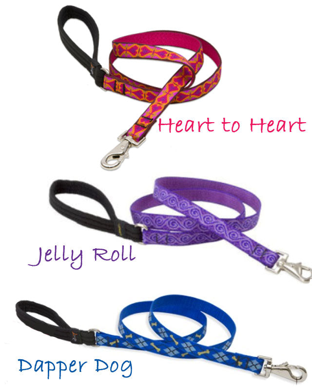 Large Puppy Kit - 30 Items!