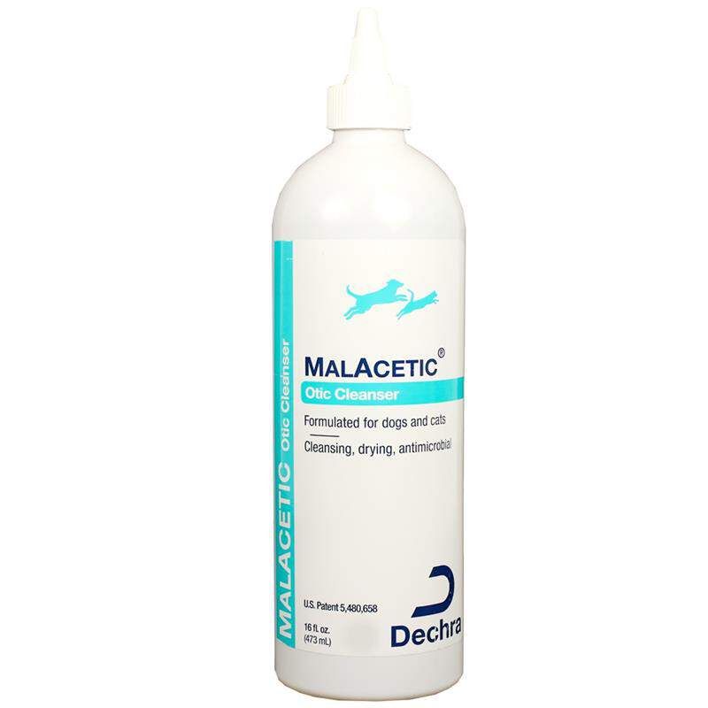 MalAcetic Otic Ear Cleaner 1 Recommended for Doodle Ears Wounds To CHOMP DOG BOUTIQUE