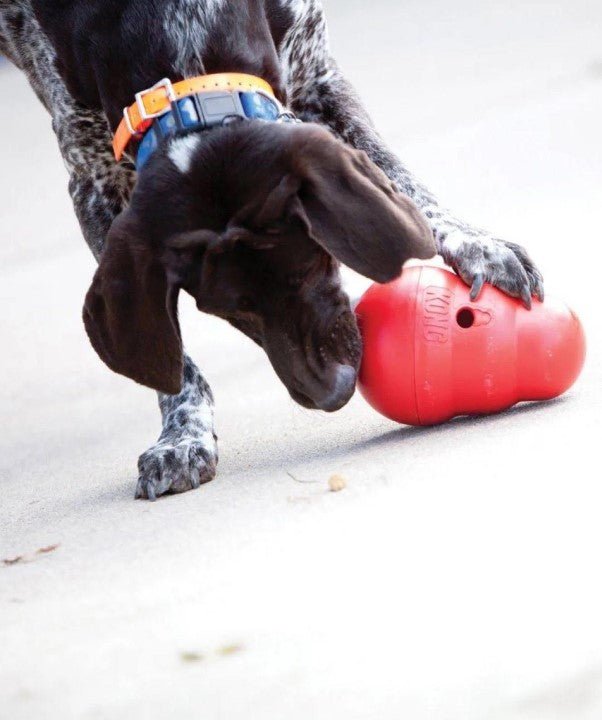 Dog Kong - Wobbler - CHOMP DOG BOUTIQUE