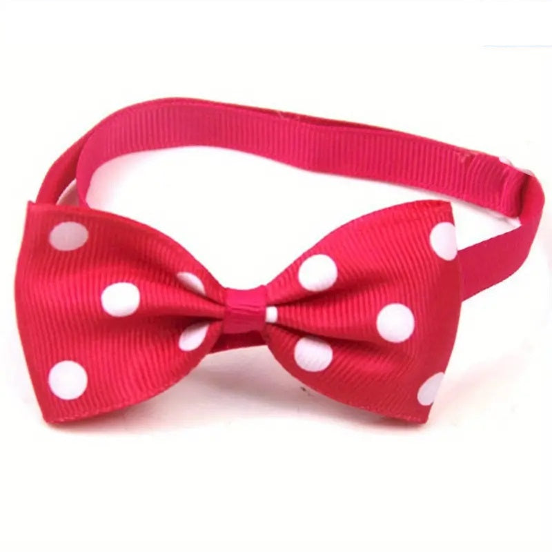 Dog / Puppy Bow Tie w/White Polka Dots - Adjustable Collar for Small to Medium Dogs