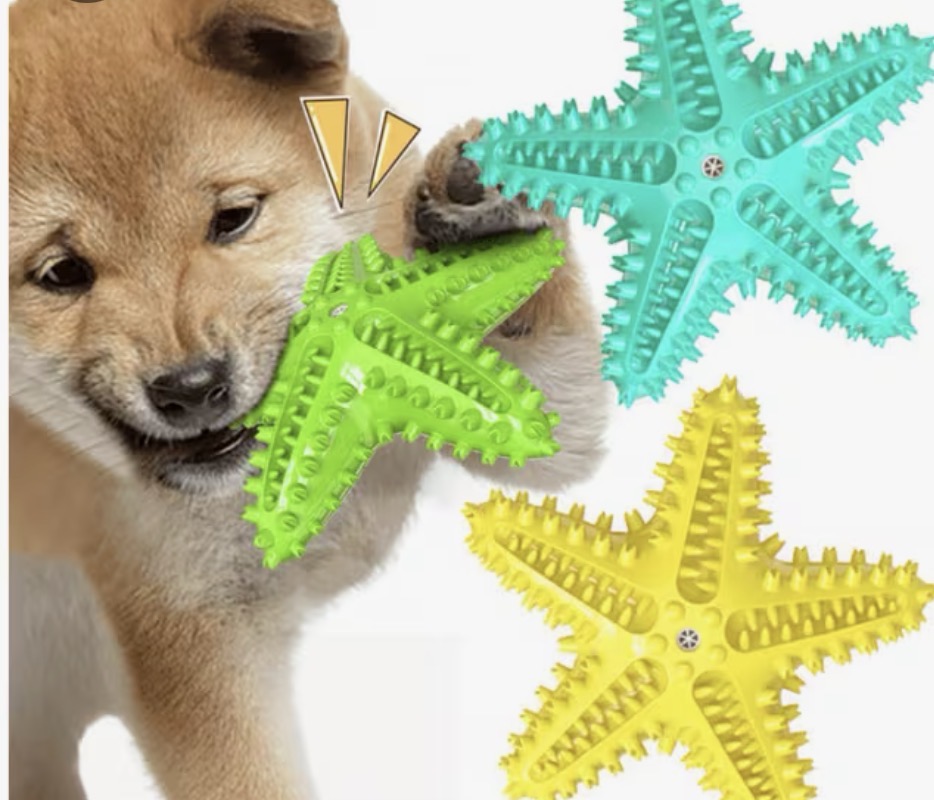 GRIPPY Starfish - Dog / Puppy Chew Toy - Tough, Durable, Squeaky, Interactive Toy! Blue, Yellow, and Green
