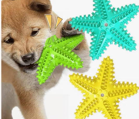 GRIPPY Starfish - Dog / Puppy Chew Toy - Tough, Durable, Squeaky, Interactive Toy! Blue, Yellow, and Green