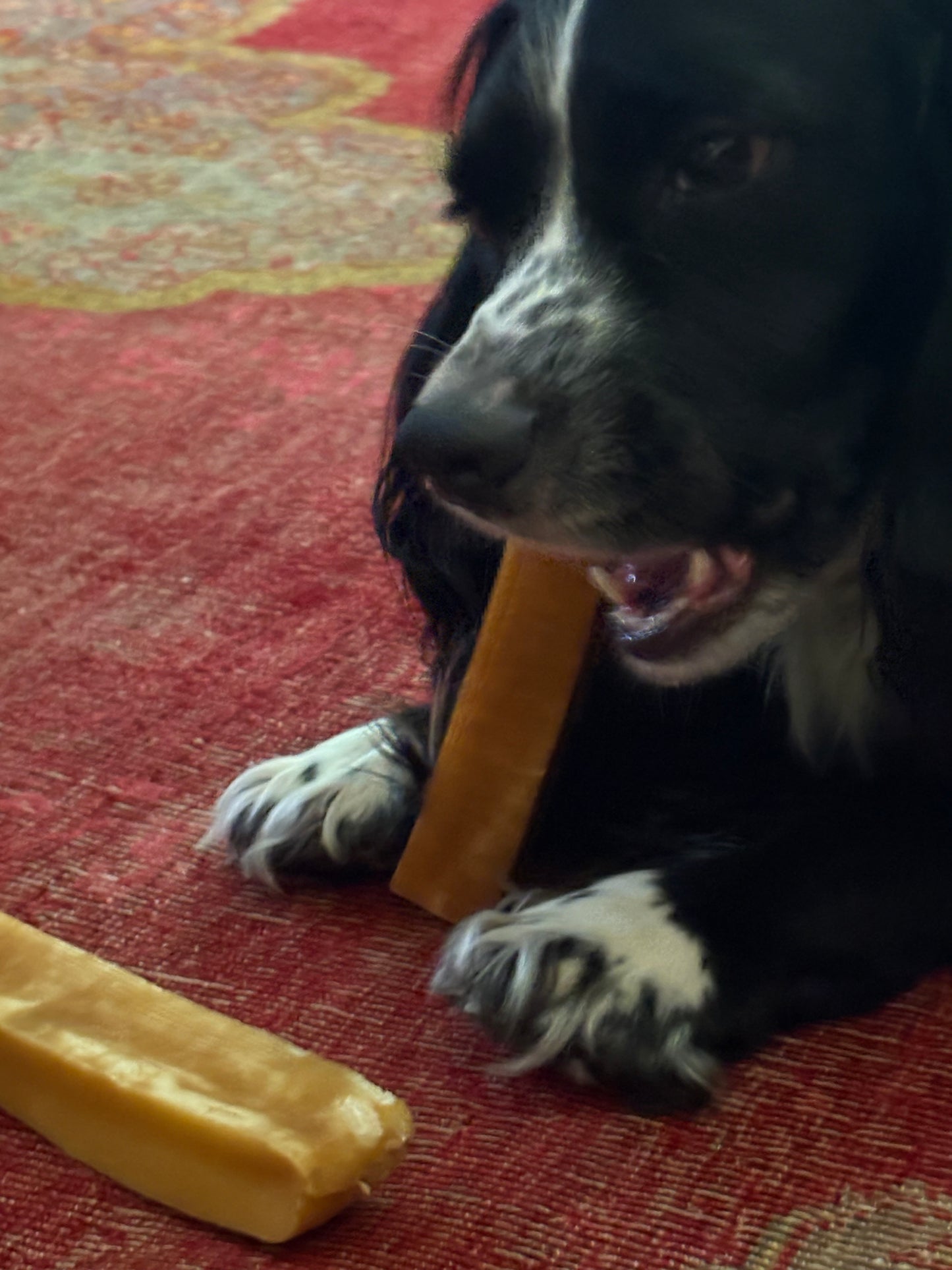 XL Yak Cheese Bars - Dog Chews