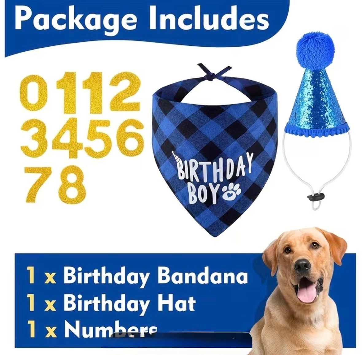 Happy Birthday Party Set - BOY - Bandanna, Hat & Numbers!