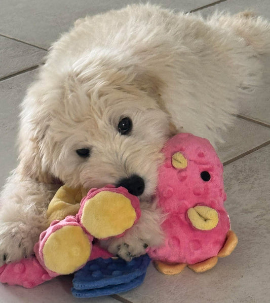 GO DOG DRAGON!! Made with Chew Guard Squeaky Crinkly Plush Puppy Dog Toy