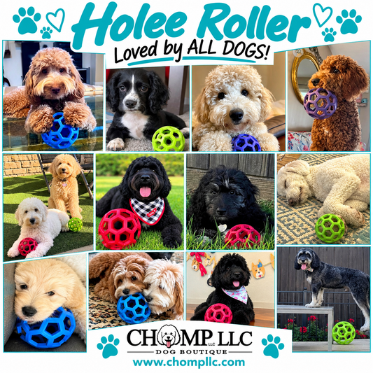 HOLEE ROLLER BALL! 5 INCH, FOR PUPS OR ADULTS!