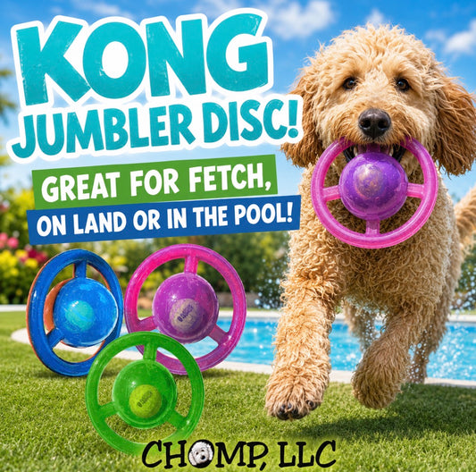 KONG JUMBLER DISC!! Great for Fetch and it Floats!!