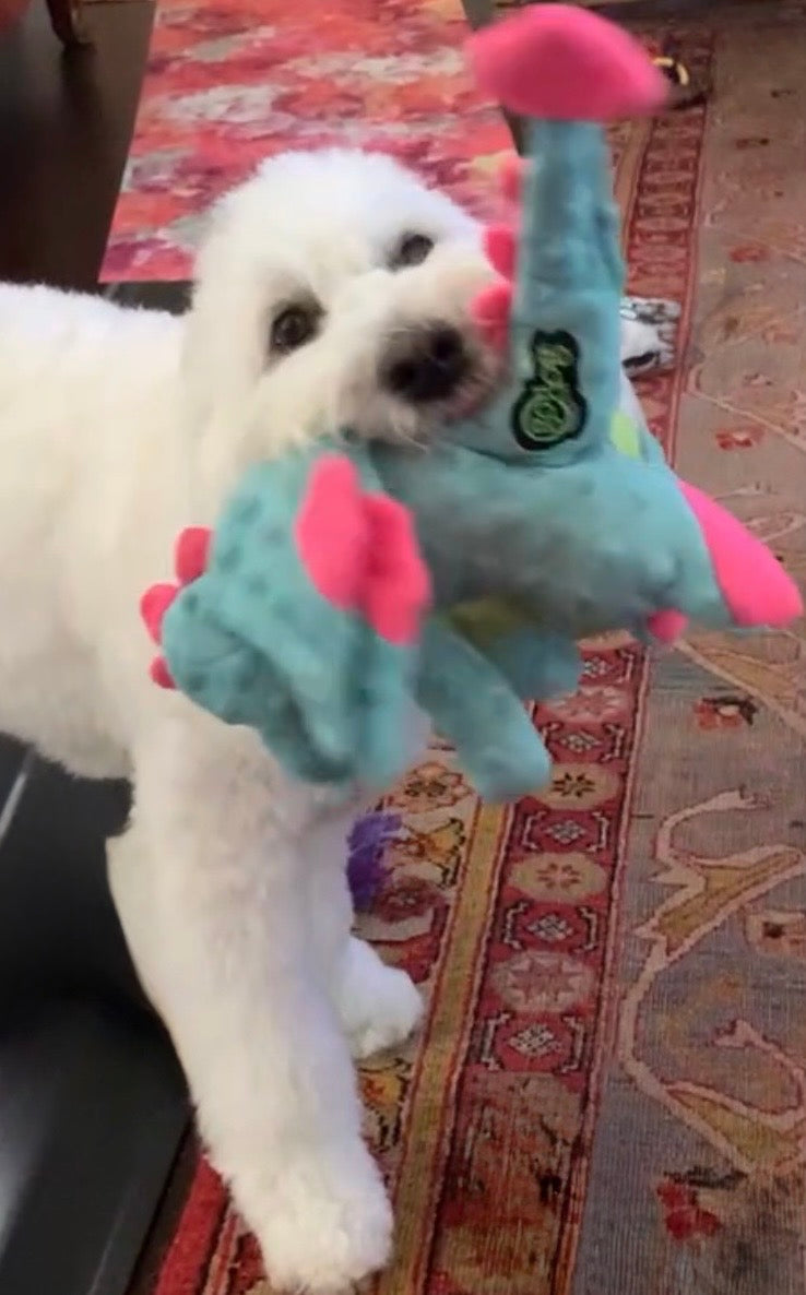 GO DOG DRAGON!! Made with Chew Guard Squeaky Crinkly Plush Puppy Dog Toy