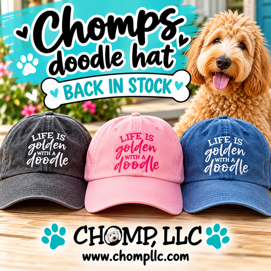 Embroidered LIFE IS GOLDEN WITH A DOODLE HAT - Black, Blue or Pink Adjustable Hat - Unisex and Adorable! Hard to find!
