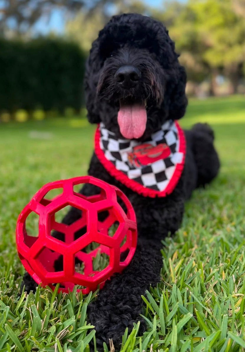 HOLEE ROLLER BALL! 5 INCH, FOR PUPS OR ADULTS!