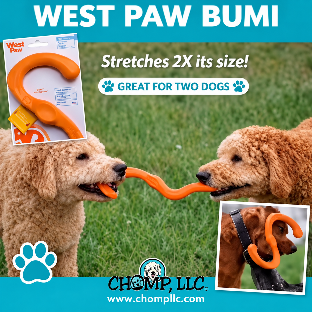WEST PAW BUMI Stretching 8” Great for Fetch, or Tug for 2 Dogs 🐾 Size Large!! Safe for Puppies!!