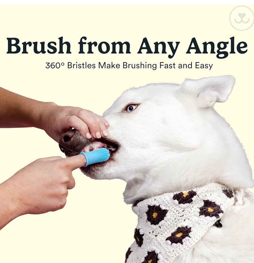 JASPER 360 DEGREES Dog and Cat Fingertip Toothbrush!! Recommended by Moss Creek’s Groomer!!