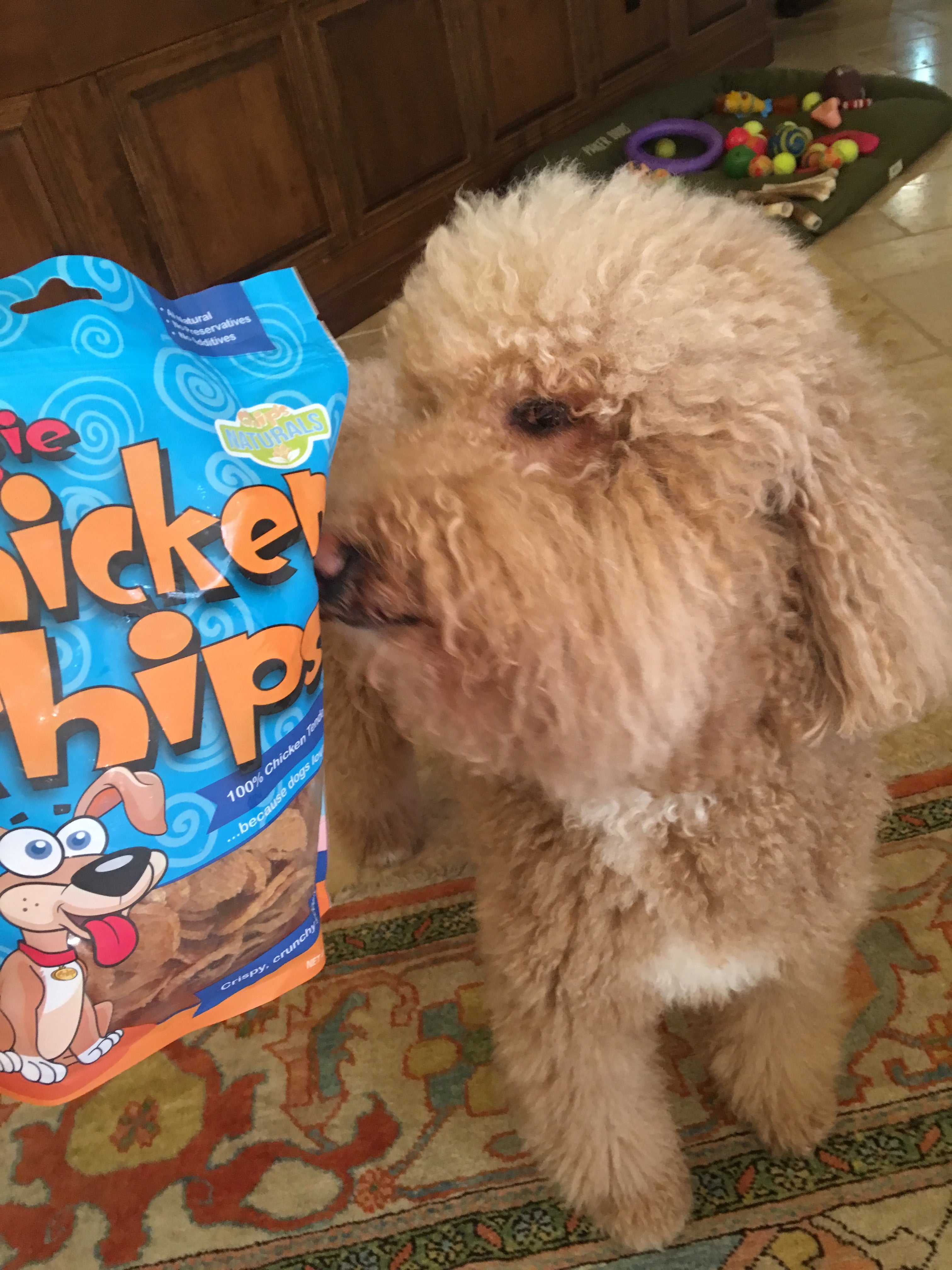 CHICKEN CHIPS! Made in USA, All Natural! Dog's Favorite Treats