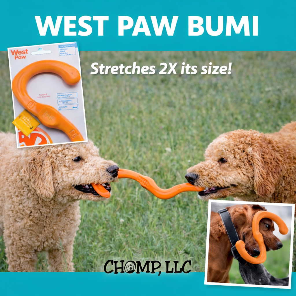 WEST PAW BUMI Stretching 8” Great for Fetch, or Tug for 2 Dogs 🐾 Size Large!! Safe for Puppies!!