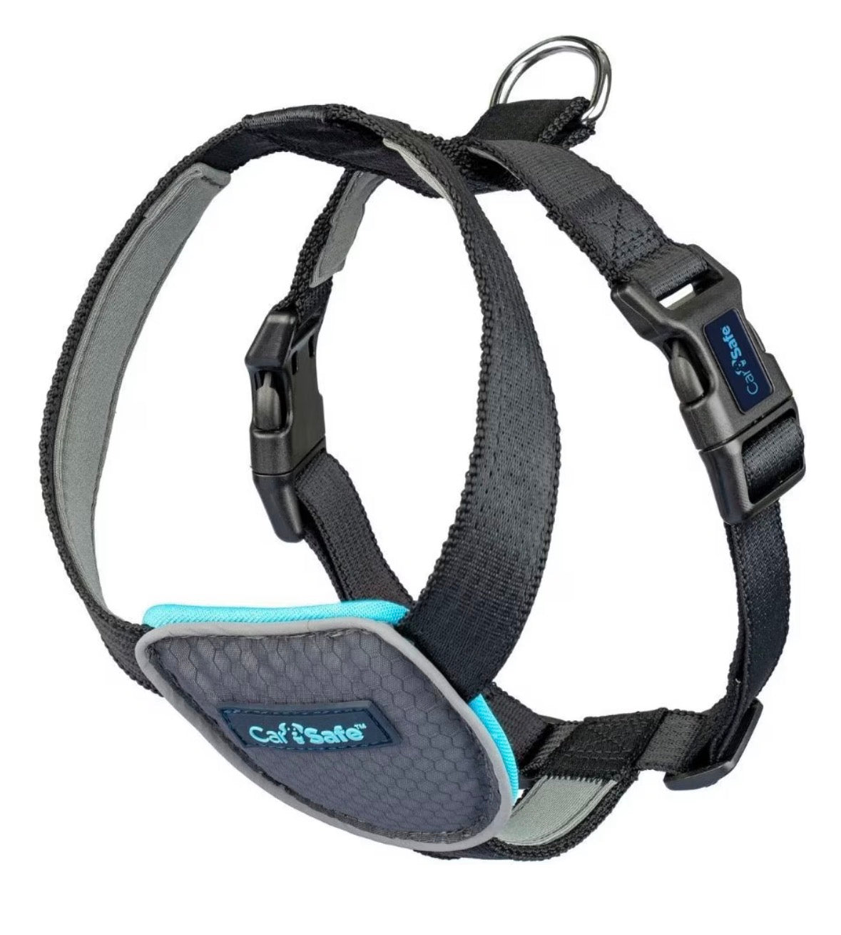 CARSAFE CRASH TESTED CAR AND WALKING HARNESS!!