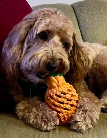 Pineapple Puppy/Dog Chew Toy - Slow Feeder Perfect for Aggressive Chewers & Large Breeds!