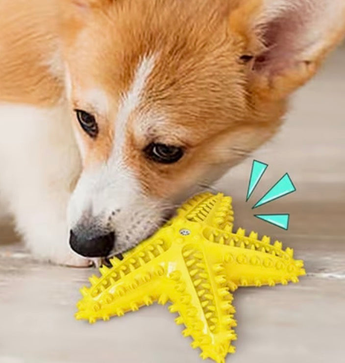 GRIPPY Starfish - Dog / Puppy Chew Toy - Tough, Durable, Squeaky, Interactive Toy! Blue, Yellow, and Green
