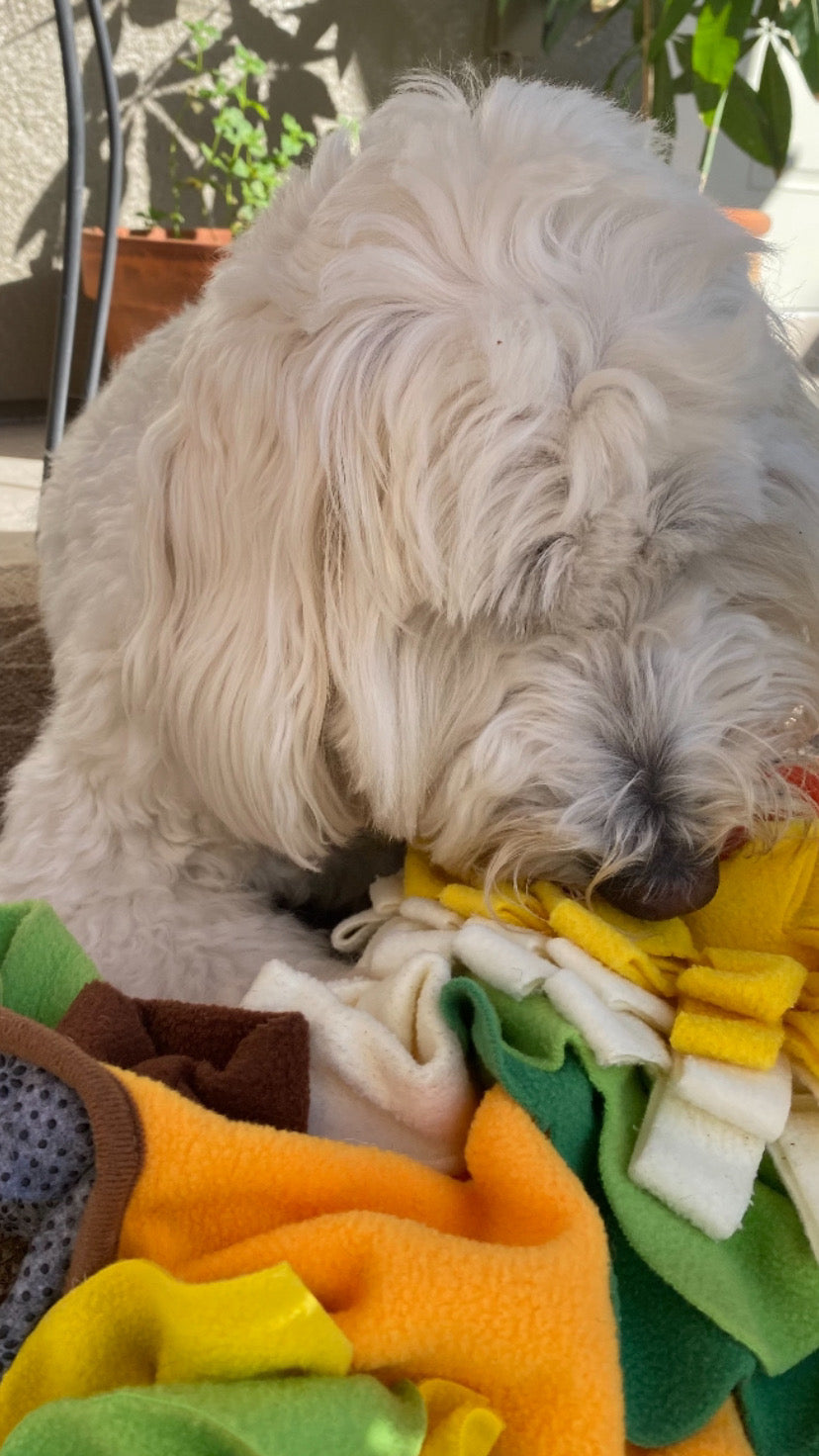 Large Snuffle Mat - Keeps Puppies and Dogs BUSY!