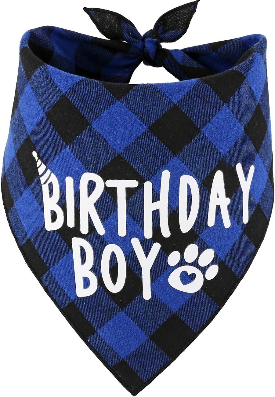 Happy Birthday Party Set - BOY - Bandanna, Hat & Numbers!