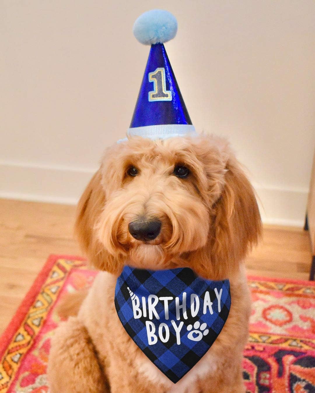 Happy Birthday Party Set - BOY - Bandanna, Hat & Numbers!