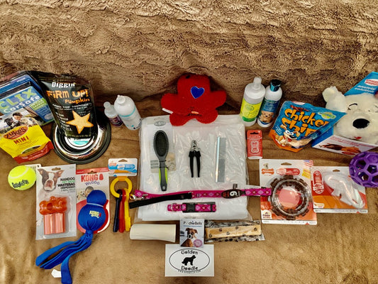 Large Puppy Kit - 30 Items!
